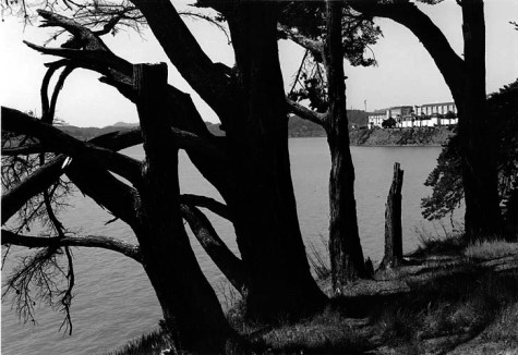 Bayside View, San Quentin, California. Herman Krieger Bayside View, San Quentin, California. Herman Krieger