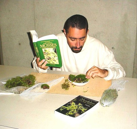 A Cedar Creek inmate and researcher in the Prison Moss Project studies mosses. Credit: Nalini Nadkarni