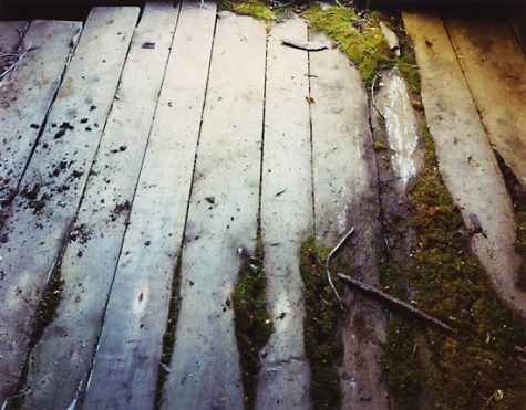 Kolyma (Floor), 2002. © Anna Shteynshleyger