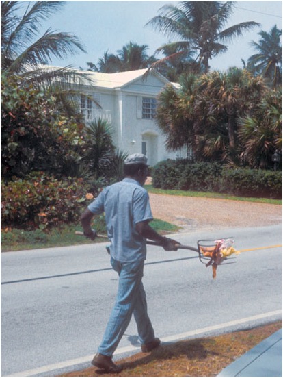 Prisoner cleaning up on Palm Beach. © Jacob Holdt