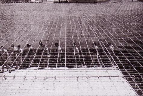 High Security Prison, Beit Lid, Israel, 1969. © Micha Bar Am