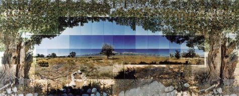 Manzanar Relocation Camp, Tree View, Inyo, California © Masumi Hayashi. Panoramic photo collage withFuji Crystal Archive prints, 1995. Size: 27" x 63" Manzanar Relocation Camp, Tree View, Inyo, California © Masumi Hayashi. Panoramic photo collage withFuji Crystal Archive prints, 1995. Size: 27" x 63"