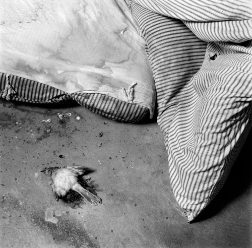 Polk Prison 08rgb Polk Prison 08rgb