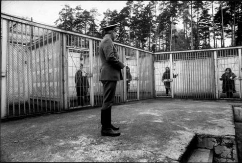 atwoodcages atwoodcages