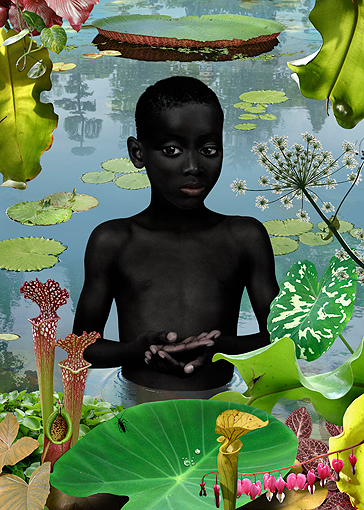 World #13 2006, BY Ruud Van Empel, Cibachrome, 33 x 36.5 inches