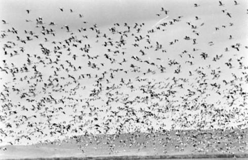 da5f78ad111fc7da_landing