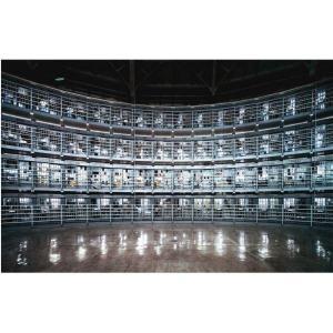 Andreas Gursky, “Stateville, Illinois” (2002), C-print mounted on plexiglas in artist’s frame. Courtesy Matthew Marks Gallery, New York.