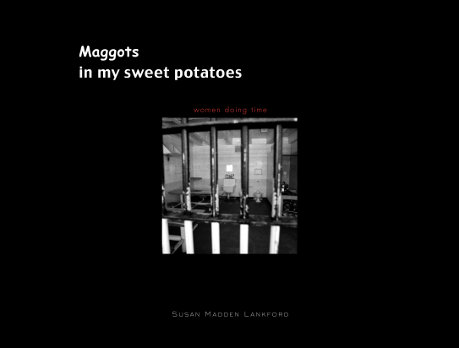 maggots-book-cover-2