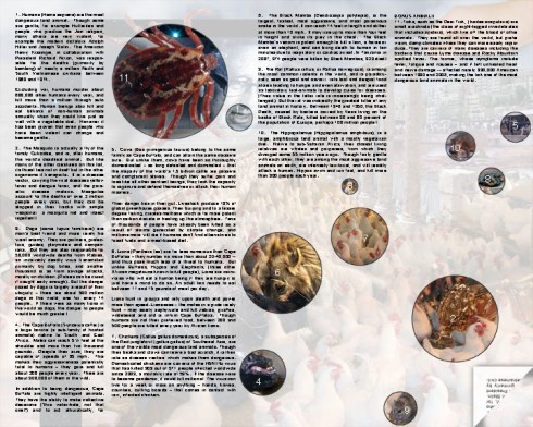 10_deadliest_animals_infoNew