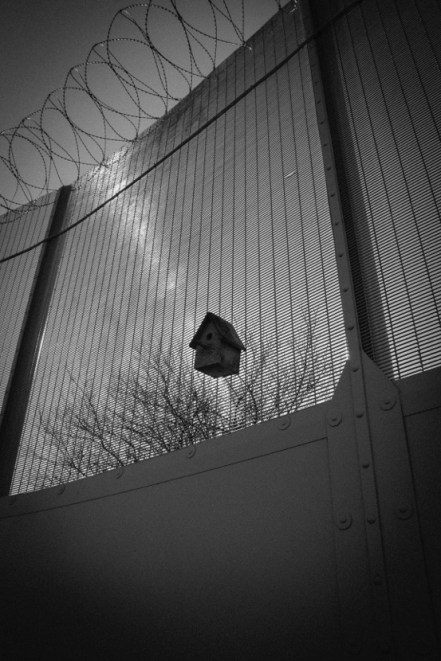 Photographs © Inside View Guernsey 2013. Courtesy of Jean-Christophe Godet