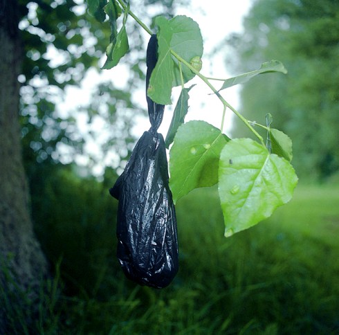 Black Bag Hanging