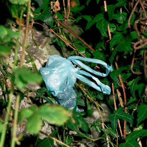 Dog Poo Bag By Bridge
