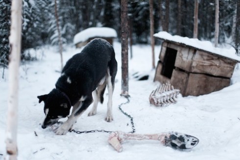 02a30bf585662f5d73387bfd0a5d61f9_original