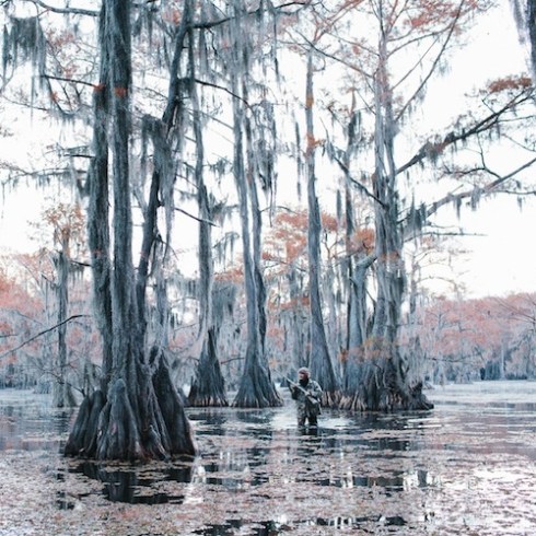 42139455e44e82356210b0a415765891_original