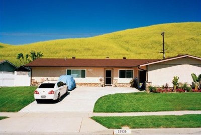 damon-casarez-564x380-sig