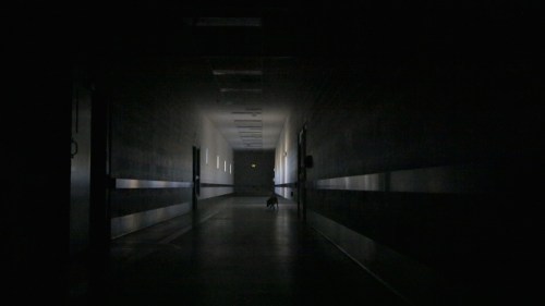 HallwayVideoStill copy